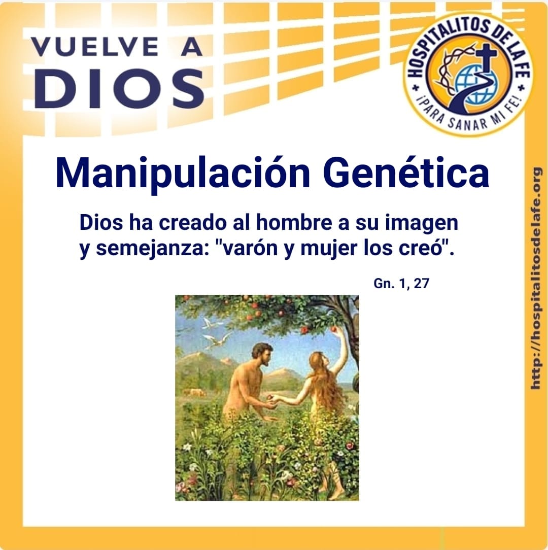 Manipulación genética (Parte I) – Hospitalitos de la Fe